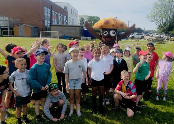 A Wacky Forest, a Giant Mushroom and Sunshine in St Matthew's